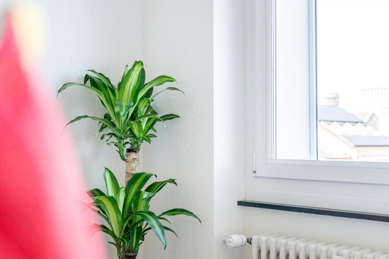 Special Picco Picasso Apartment Basel, Bahnhof Grossbasel 10-Star ภายนอก รูปภาพ
